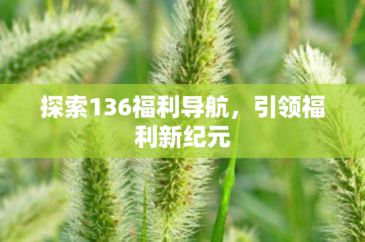 探索136福利导航图片