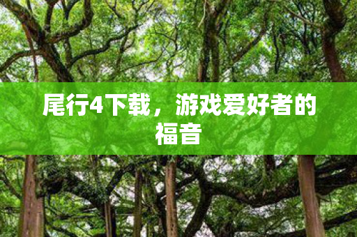 游戏爱好者的福音图片