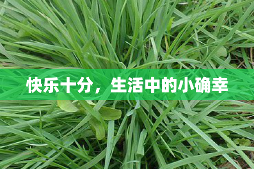 生活中的小确幸图片