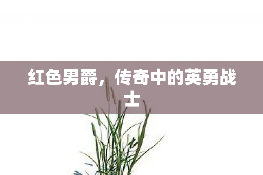 传奇中的英勇战士图片