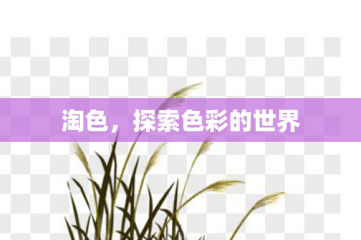 探索色彩的世界图片