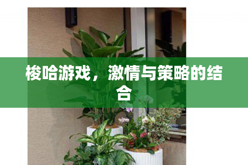 激情与策略的结合图片