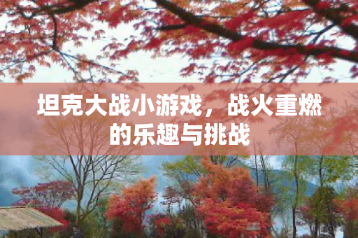 战火重燃的乐趣与挑战图片