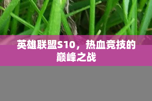 热血竞技的巅峰之战图片