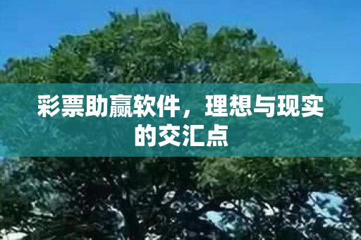理想与现实的交汇点图片