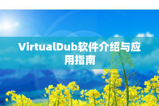 VirtualDub软件介绍与应用指南图片