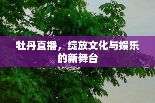 绽放文化与娱乐的新舞台图片