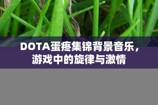 DOTA蛋疼集锦背景音乐图片