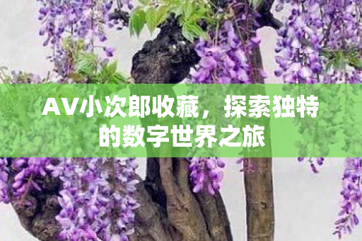 探索独特的数字世界之旅图片