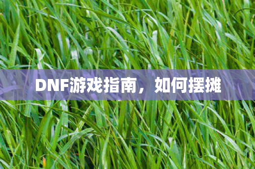 DNF游戏指南图片