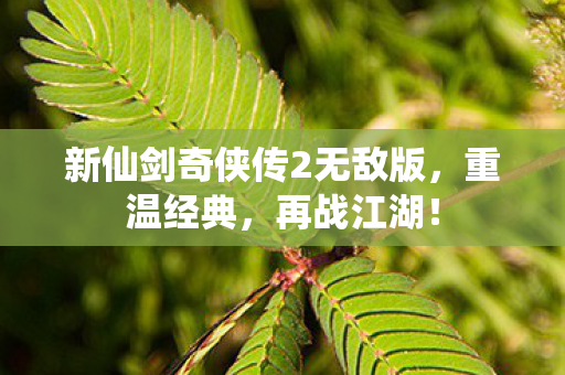 新仙剑奇侠传2无敌版图片