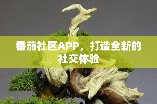 打造全新的社交体验图片