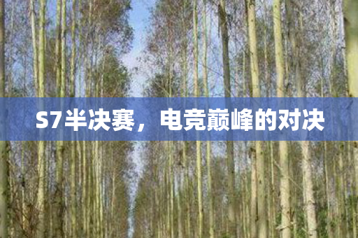 电竞巅峰的对决图片
