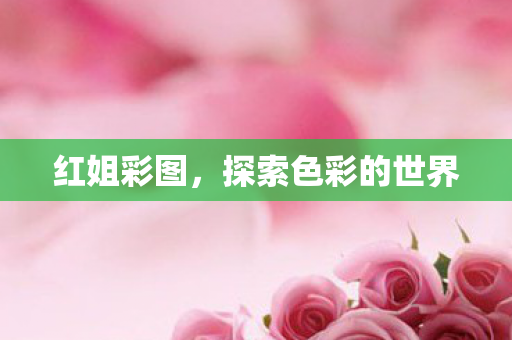探索色彩的世界图片
