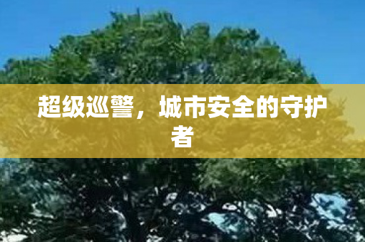 城市安全的守护者图片