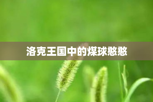 洛克王国中的煤球憨憨图片