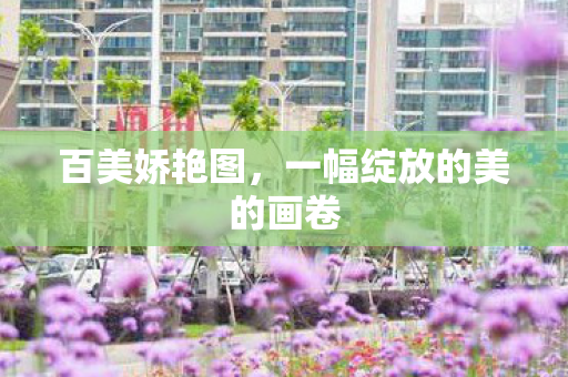 一幅绽放的美的画卷图片