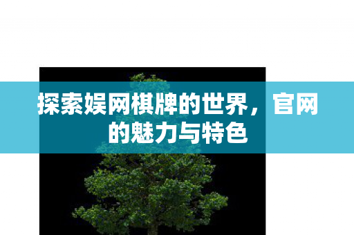 探索娱网棋牌的世界图片
