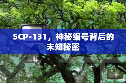 神秘编号背后的未知秘密图片