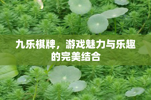 游戏魅力与乐趣的完美结合图片