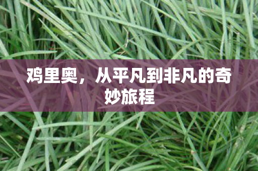 从平凡到非凡的奇妙旅程图片
