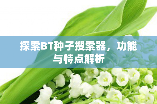 探索BT种子搜索器图片