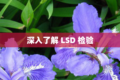 深入了解 LSD 检验图片