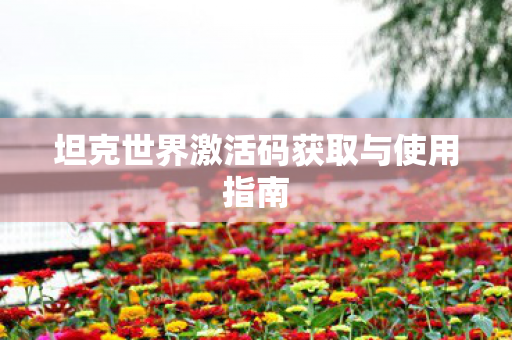 坦克世界激活码获取与使用指南图片