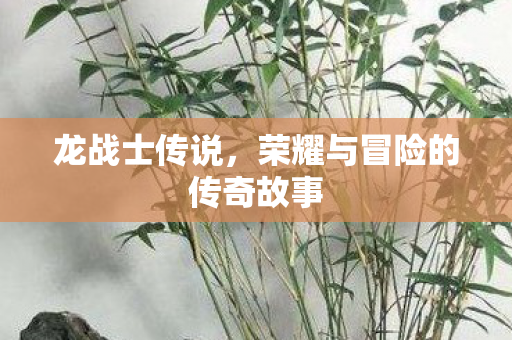 荣耀与冒险的传奇故事图片
