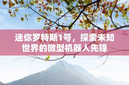 探索未知世界的微型机器人先锋图片