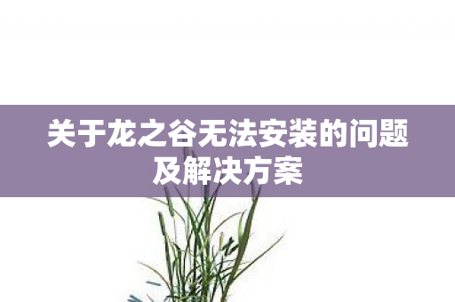 关于龙之谷无法安装的问题及解决方案图片