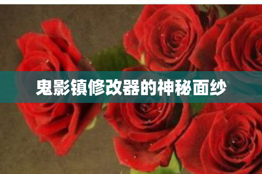 鬼影镇修改器的神秘面纱图片
