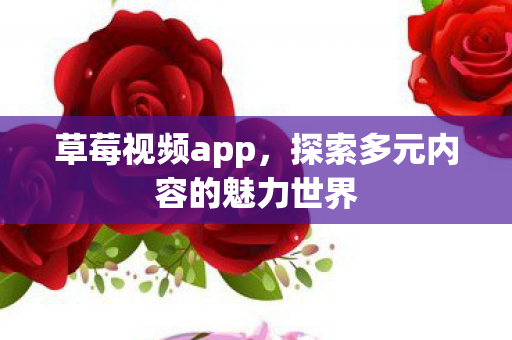 探索多元内容的魅力世界图片