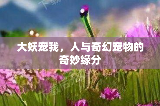 人与奇幻宠物的奇妙缘分图片