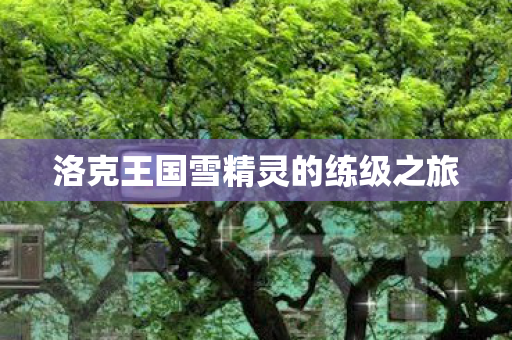 洛克王国雪精灵的练级之旅图片