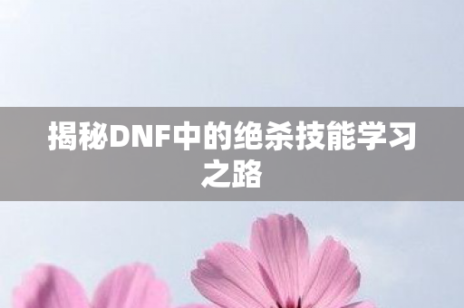 揭秘DNF中的绝杀技能学习之路图片