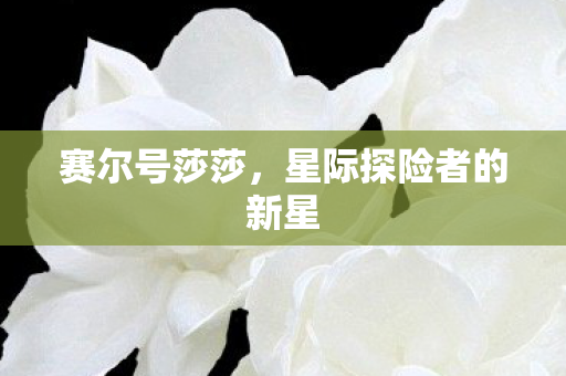 星际探险者的新星图片