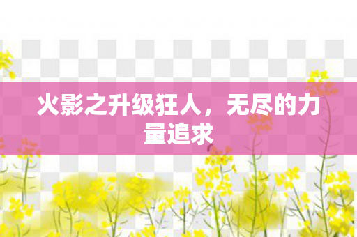 火影之升级狂人图片