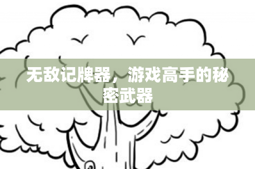 游戏高手的秘密武器图片