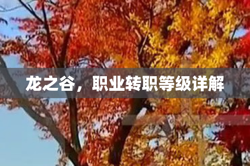 职业转职等级详解图片