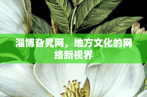 地方文化的网络新视界图片