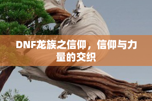 DNF龙族之信仰图片