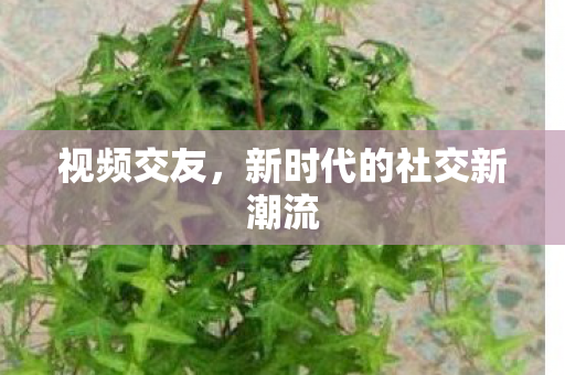 新时代的社交新潮流图片
