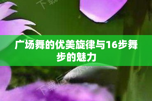 广场舞的优美旋律与16步舞步的魅力图片