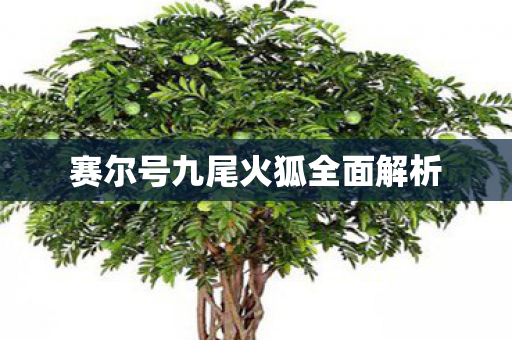赛尔号九尾火狐全面解析图片