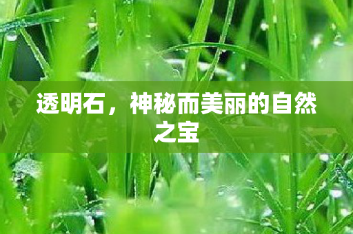 神秘而美丽的自然之宝图片