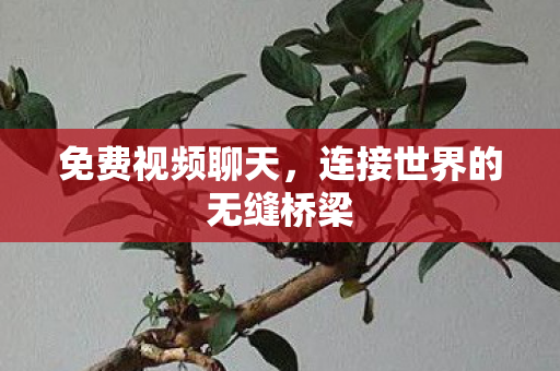 连接世界的无缝桥梁图片