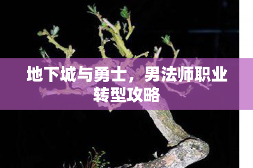 男法师职业转型攻略图片