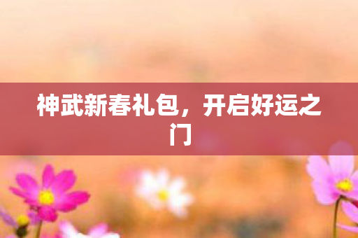 神武新春礼包图片