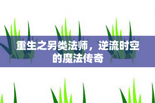 逆流时空的魔法传奇图片